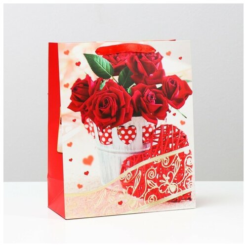 ����� ��������������, 26 x 32 x 12 ��, ���� 339�