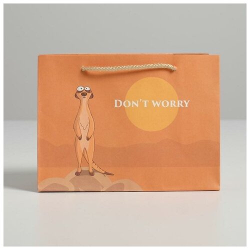 ����� ���������� Don not worry, 14,5 ? 19,5 ? 8,5 ��, ���� 112�
