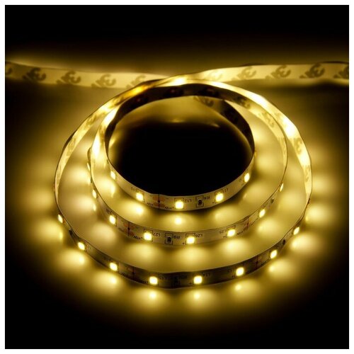    3 , IP20, SMD2835, 60 LED/, 12 , 3000,  802