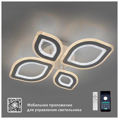    OVAL DOUBLE RGB 60W 5R-APP-650x500x110-WHITE/WHITE/BULB-220-IP20/00003514,  4207