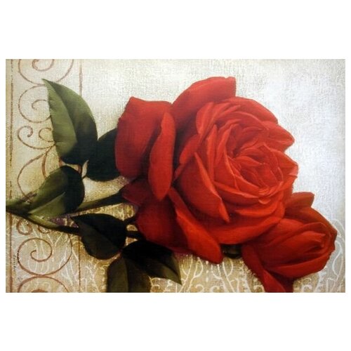     (Roses) 13 73. x 50.,  2640