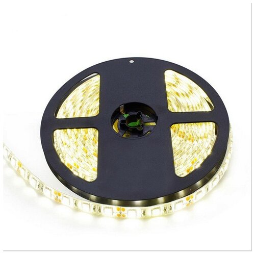    SMD5050-60LED--12V Double line 5. -  :  3000-3500K,  2700 CLEVERLIGHT