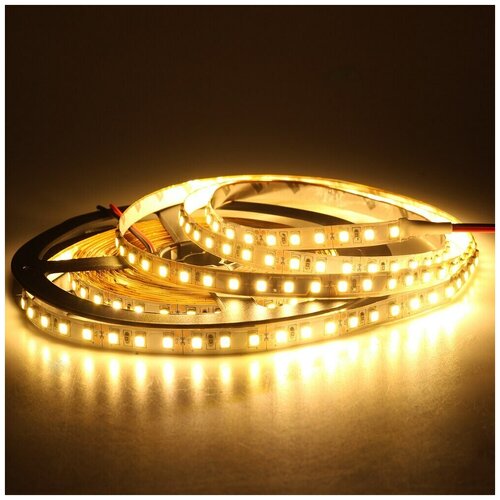   IP22 SMD 2835 (60 LED) 12V DC 24W DLED  ,  360