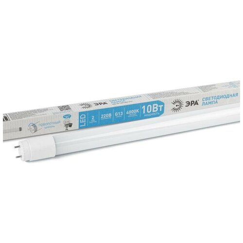   10 0032999 LED T8-10W-840-G13 DE 600 230 800 4000  /   (4 .  ),  743 