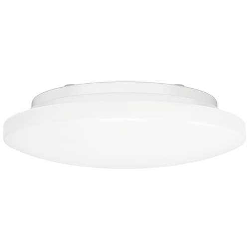    Yeelight C2001(c450) Ceiling Light 450mm (ylxd036),   ,  .,  12800