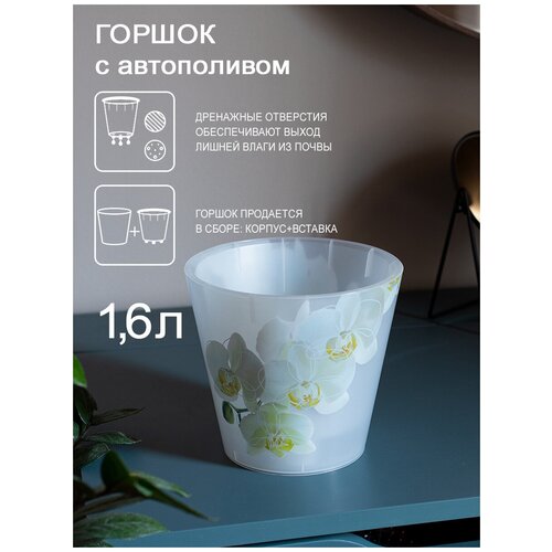    InGreen London Orchid Deco   D160  1,6     IG6196 .,  587