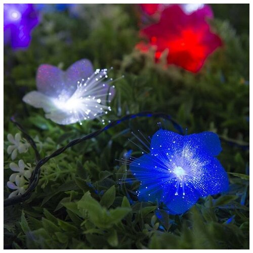 ���� DECOR. 