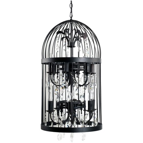  Birdcage D40,  31710