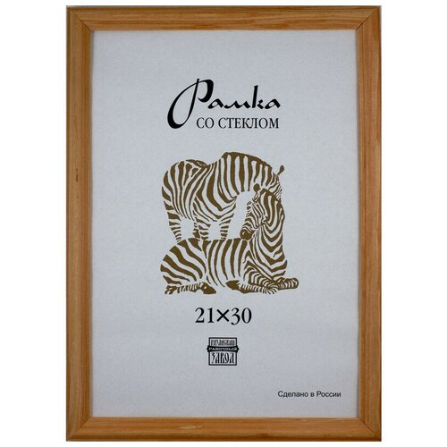 Zebra  3040  (1701) ,  484