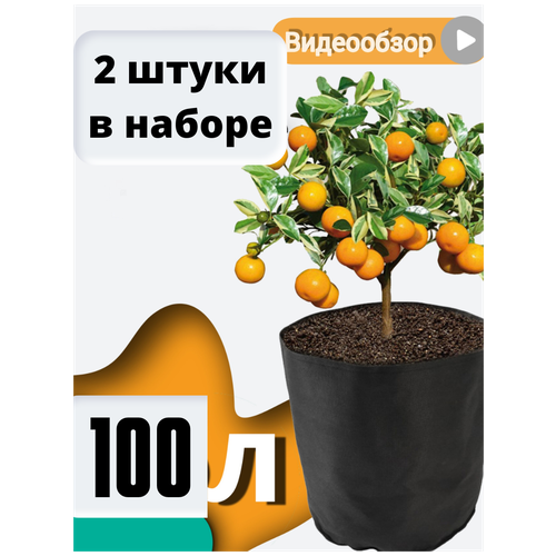     Bag Pot Eco 100 ,  2 ,    grow bag  , , ,  1320