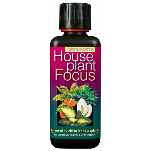   Houseplant Focus     Growth Technology  300,  1595 Growth Technology