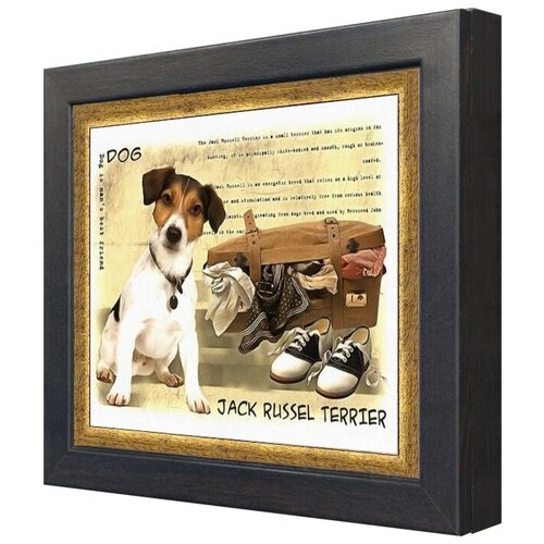 -    / Jack Russel Terrier       2833 7 ,  1680