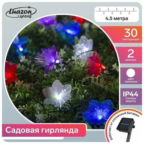   4.5    , IP44,  , 30 LED,  , 2 ,  ,  716