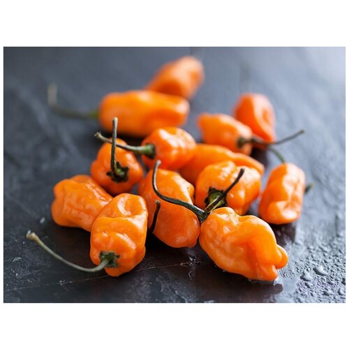      (. Habanero Pepper Orange)  5,  460