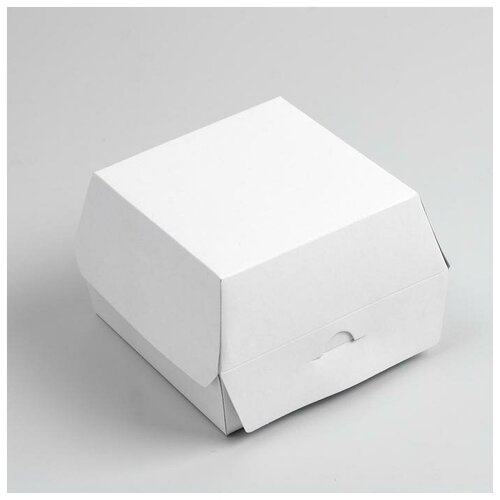 ������� ��� �������, 13 x 13 x 9 ��, 20 ��., ���� 888�