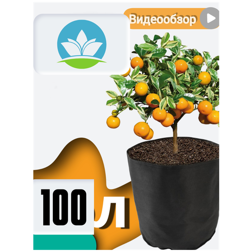     Bag Pot Eco 100 ,    grow bag  , , ,  660