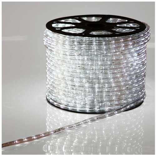  LED,   (2W) -   24 LED/ ,  100  121-125-4,  17896