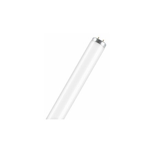 Osram   L 40W/640 - T12 40,  150