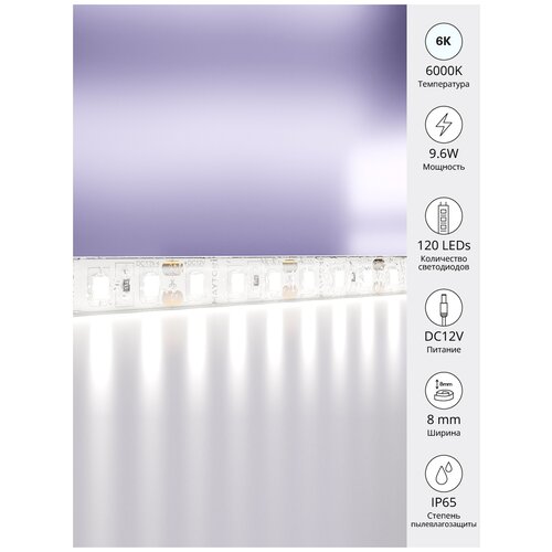   5  Maytoni Led Strip 10113,  2100