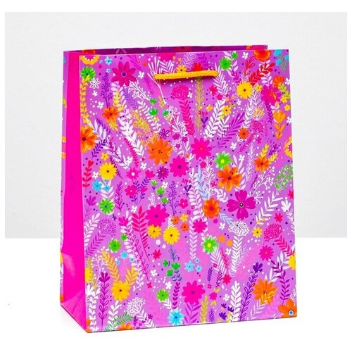 Friendstyle ����� ���������� ������� ������, 18 � 22,3 � 10 ��, ���� 256�