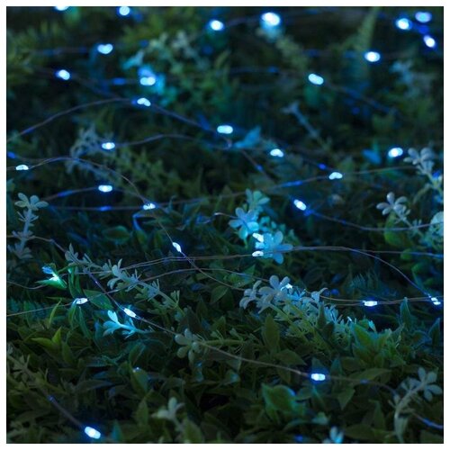   10  ,  , 100 LED,  , 2 ,  ,  801