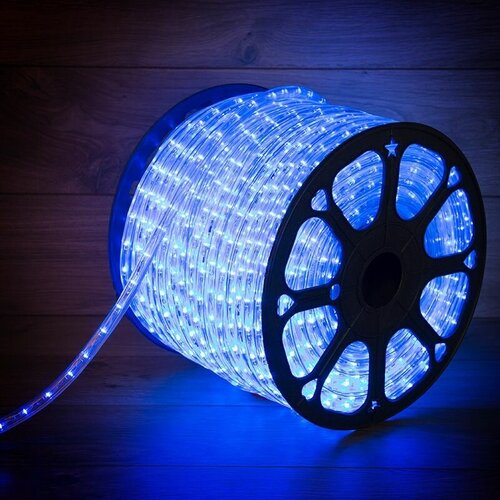     , , 24 LED/,  10, 100 ,   / , Neon-Night,  14366