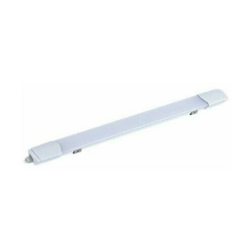    Ecola linear IP65 ( ) 40W 220V 4200K 1185x60x30,  667