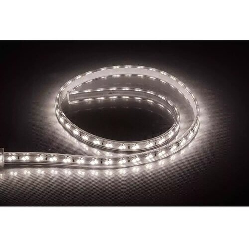 50.    5730  , 3000, 11W, 220V, 120LED/m IP65 Feron LS705 (32716),  22430