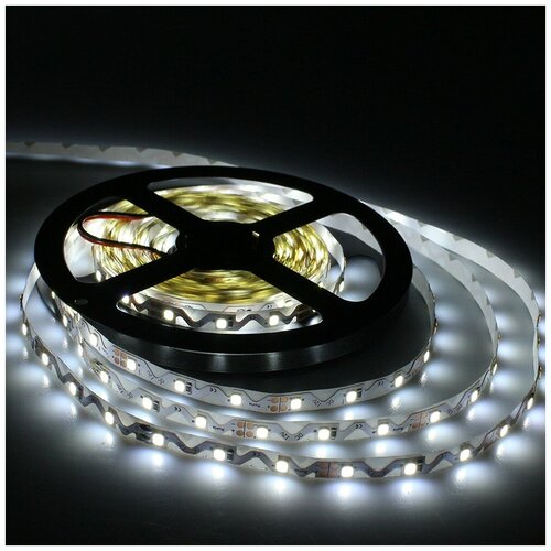 - (3-D) SMD2835-60LED-IP33-12V 5. -  : 5500-6000K,  2200