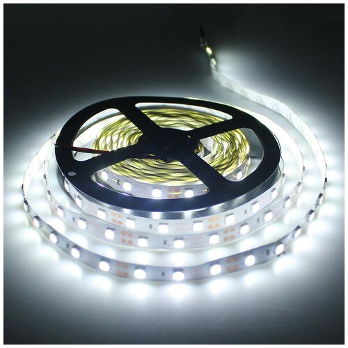   SMD5050-60LED-12V econom 5. -  : 5500-6000K,  1800