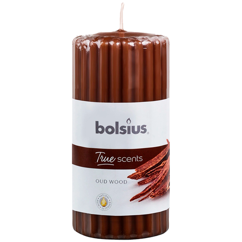     Bolsius True scents 120/58   -   33 ,  274 Bolsius