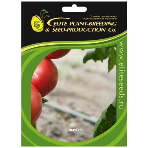        100  .,  539 ELITE PLANT-BREEDING & SEED-PRODUCTION