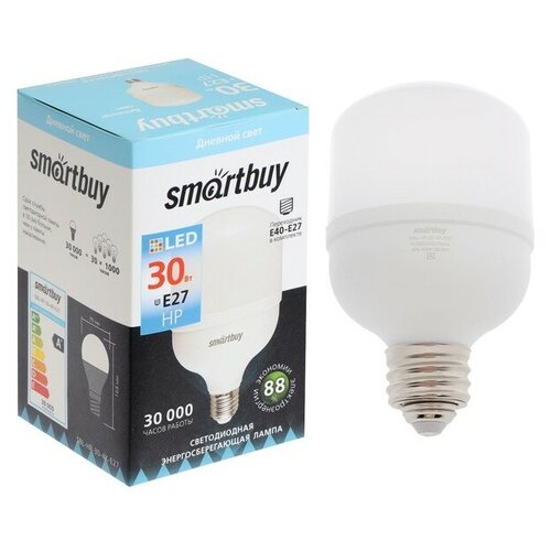  c Smartbuy, , E27, 30 , 4000 ,    Smartbuy 2916981 .,  613