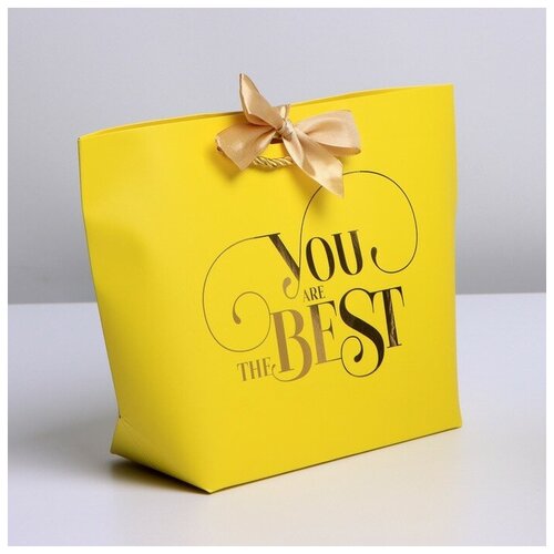 ����� ���������� �You are the best�, 28 � 20 � 9 ��, ���� 272�