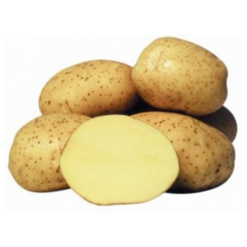 Семенной картофель гала (суперэлита), цена 899р