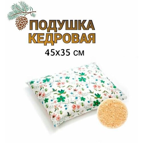 ��� ������� � �������� �������� 35�45 �����, ���� 2046�
