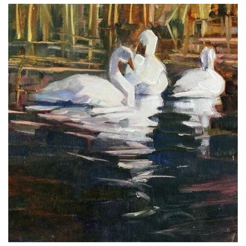     (Swans) 6 60. x 62.,  2650