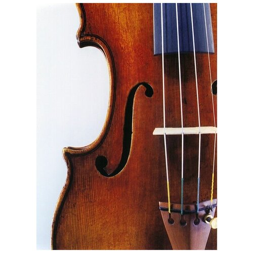     (Violin) 2 50. x 68.,  2480