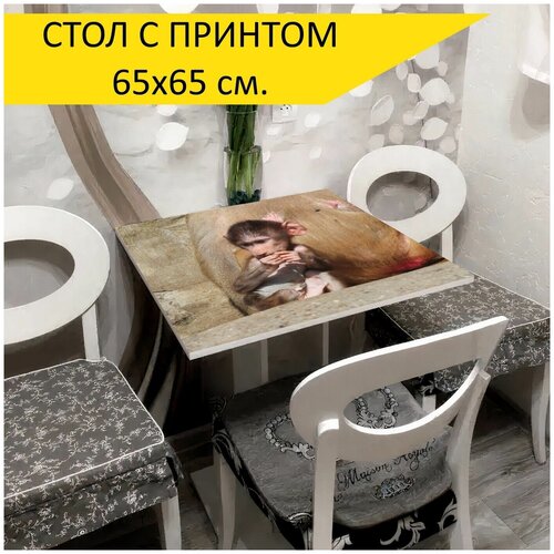 ���� 
