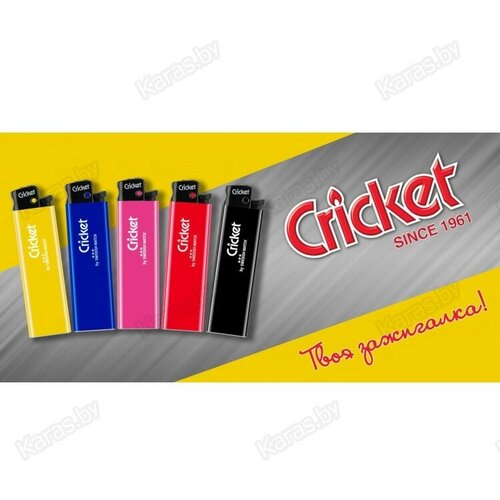    Cricket New Standart,  5 .,  255