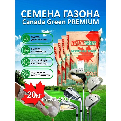 Газонная трава семена Канада Грин Премиум PREMIUM 15 кг/ мятлик, райграс, овсяница семена для газона/3 шт, цена 5690р