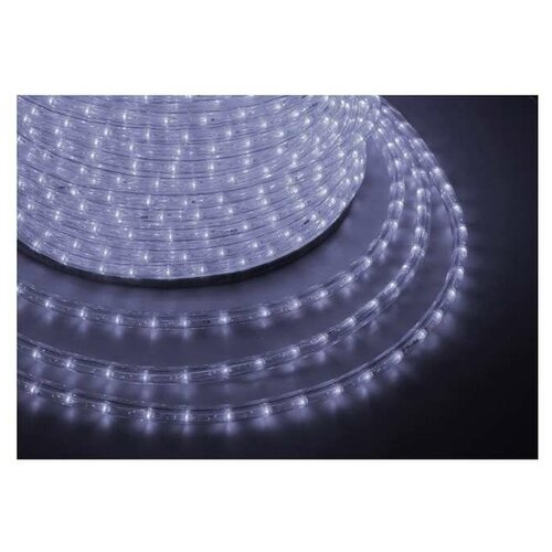  LED ,   (2W) - , 36 LED/,  100, Neon-Night  121-125,  30950