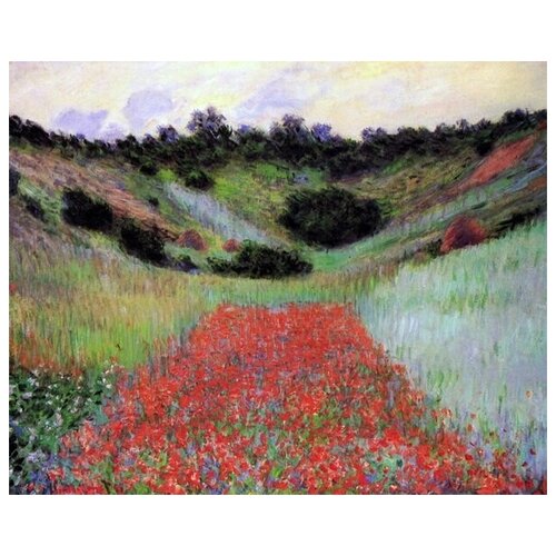        (Poppy Field of Flowers in a Valley)   62. x 50.,  2320