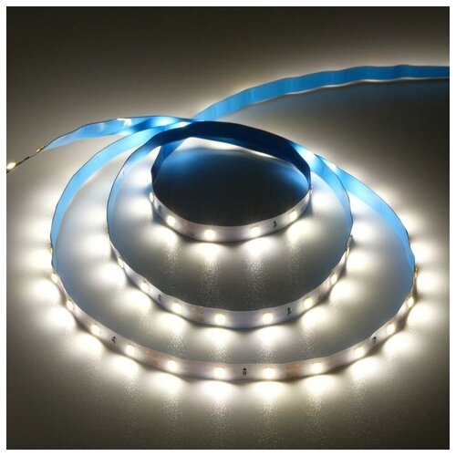   PRO 5 , IP20, SMD3528, 60 LED/, 4.8 /, 12 , 4200,  385