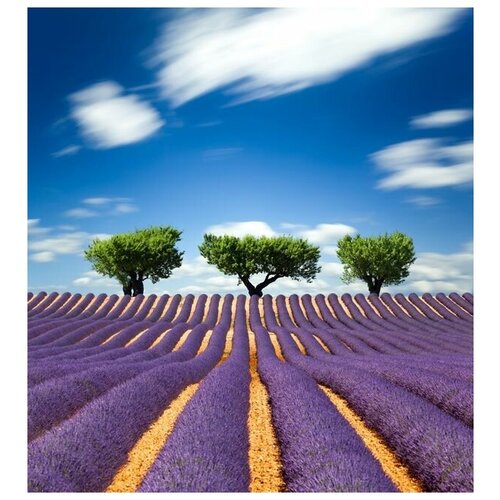      (Lavender field) 2 60. x 65.,  2720