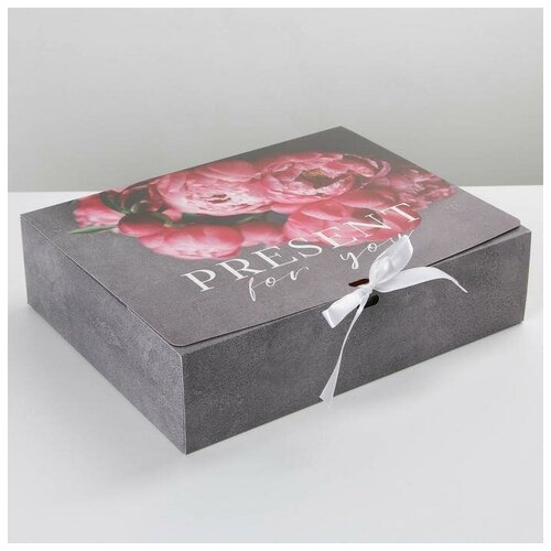 ������� �������� ���������� �Present�, 31 ? 24,5 ? 9 ��, ���� 168�