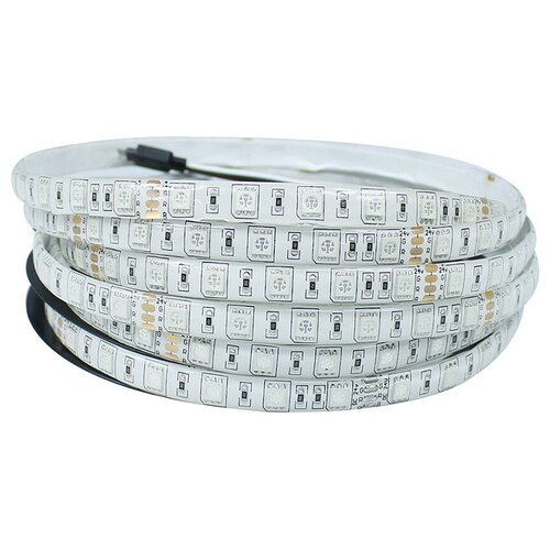   RGB: SMD5050-60LED-IP65-24 5. -  :RGB,  2900