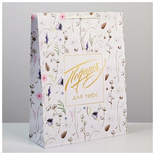 ����� �������������� Gift for you, L 31 � 40 � 11,5 ��, ���� 146�