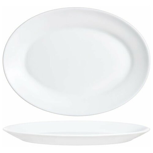 ����� �������� Restaurant 29 �� Arc International 3020304, ���� 650�