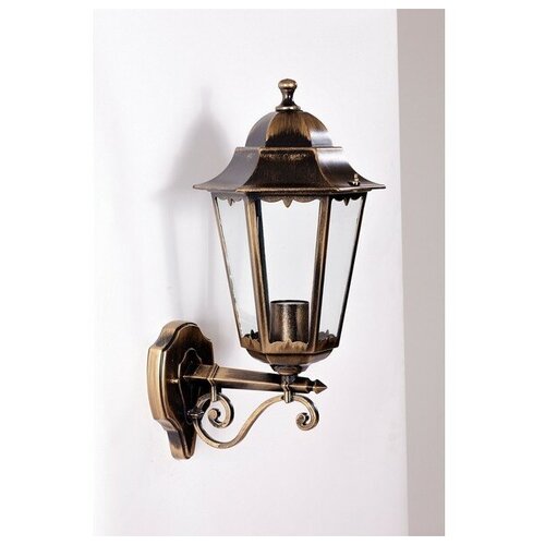   PETERSBURG 79801M/02 Gb Oasis Light M,  3043